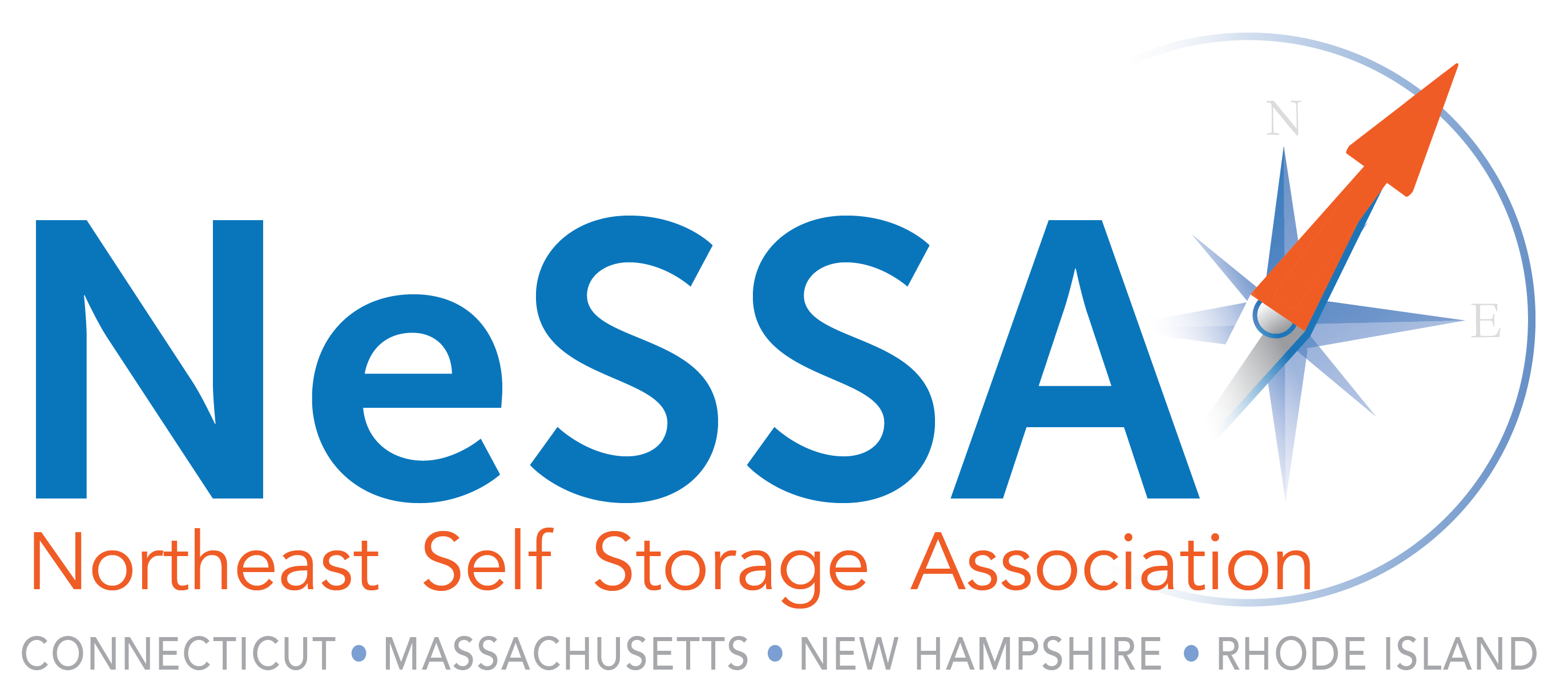 NeSSA logo