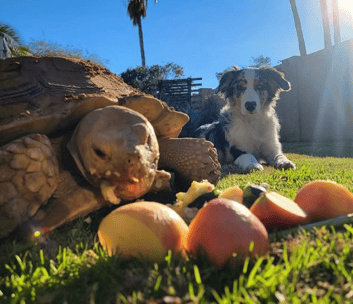 Screenshot 2025-10-30 at 11.52.53 PM