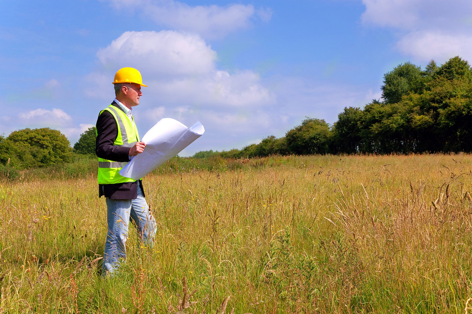 bigstock-Architect-Surveying-A-New-Buil-5422394