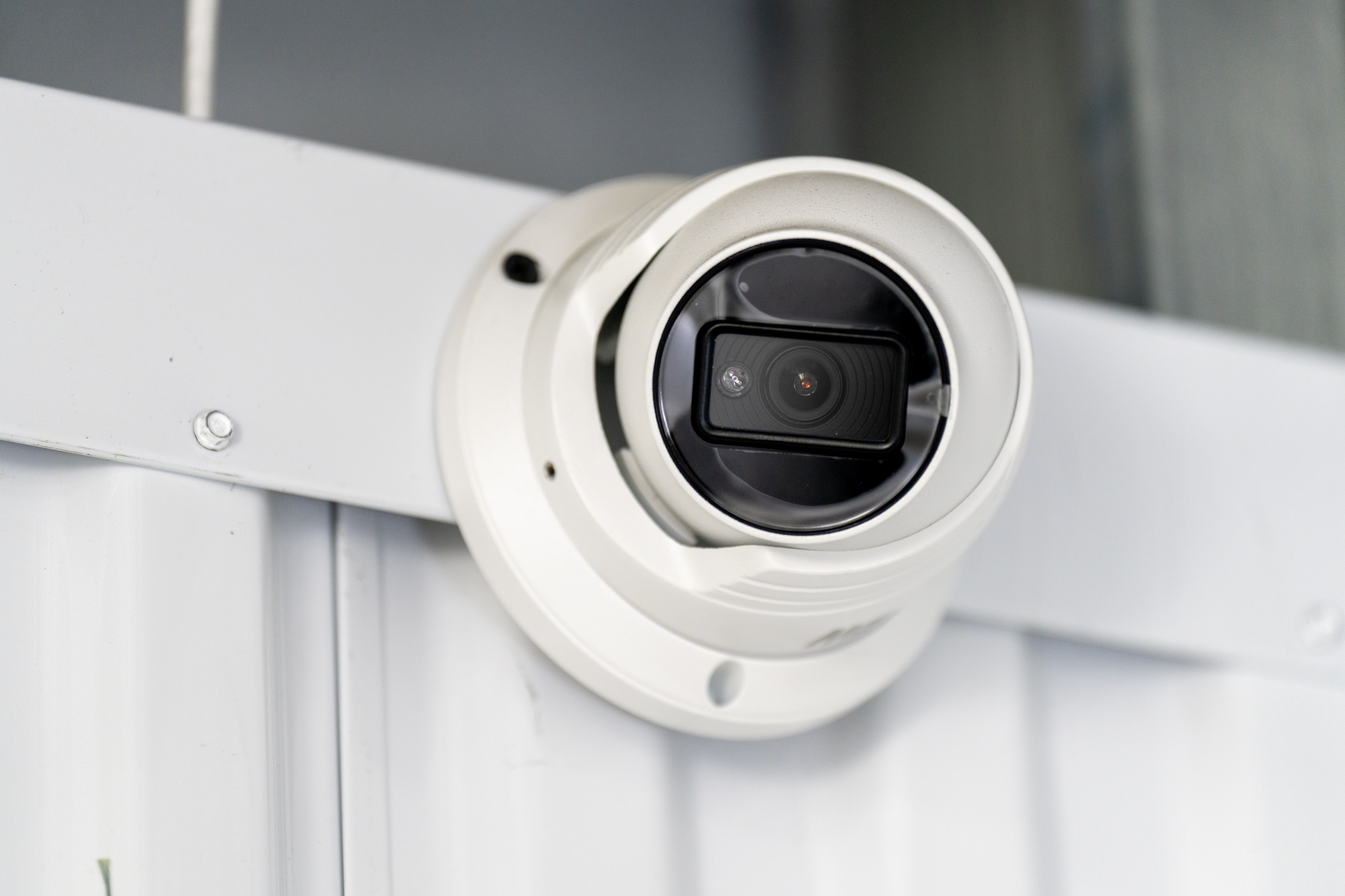 Extra 61 camera