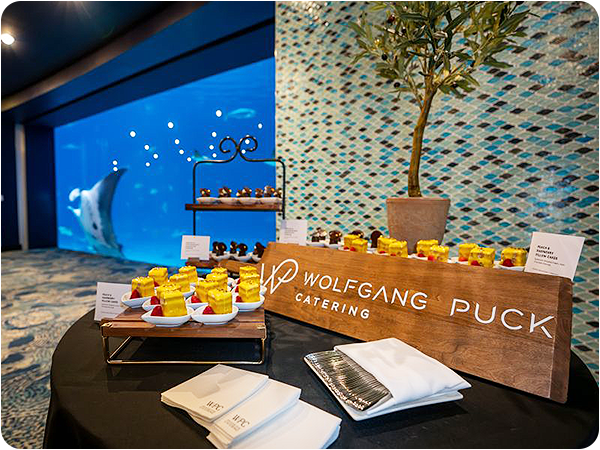 THE Show Experience Rounded Images Aquarium 1 (600x450)