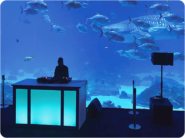 THE Show Experience Rounded Images Aquarium 2 (600x450)