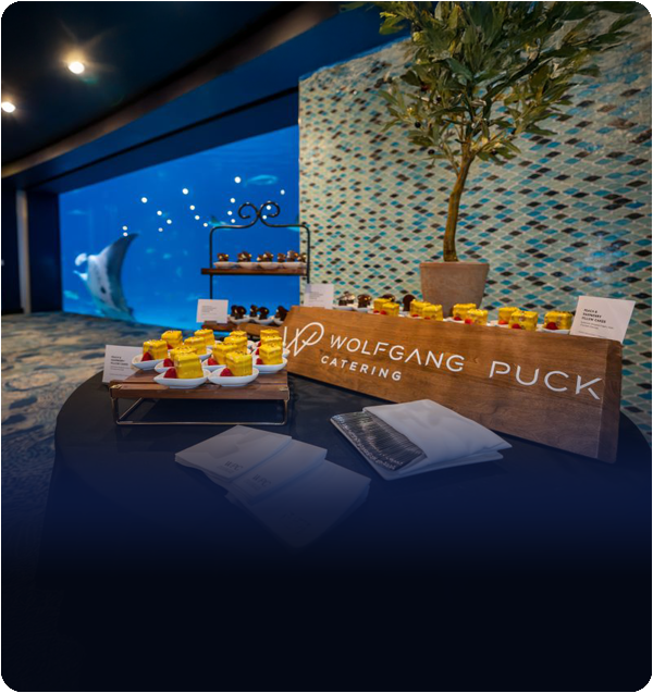 THE Show Rounded Images Experience