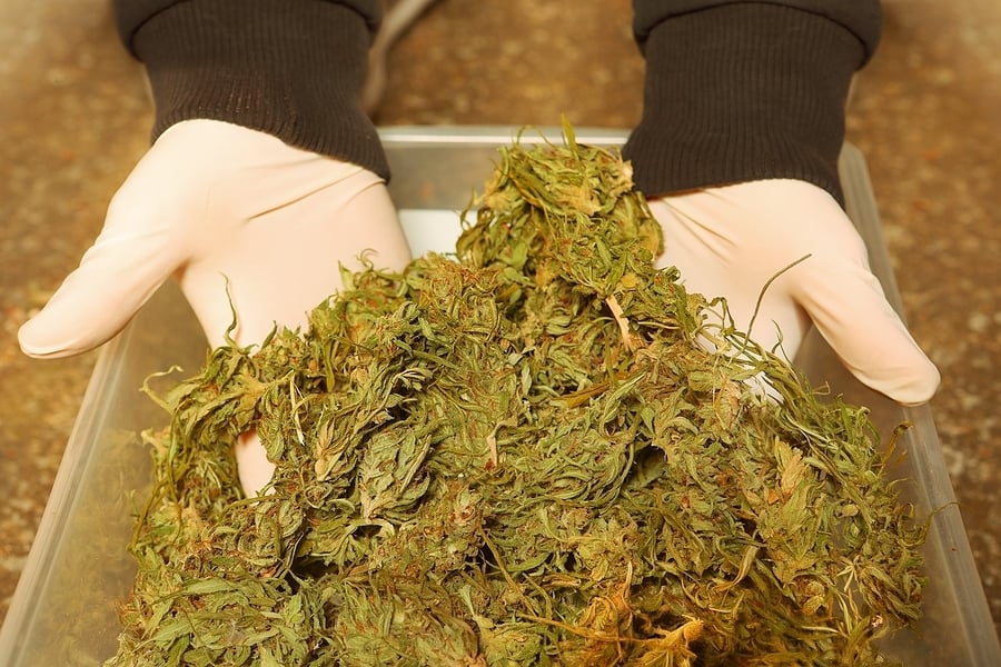marijuana in self storage