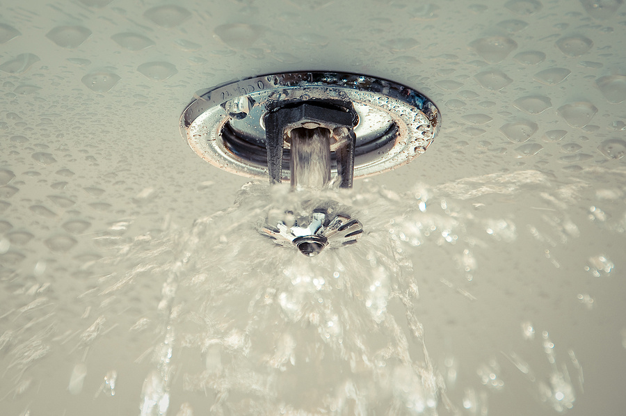 self-storage sprinkler system