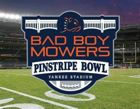 pinstripe bowl