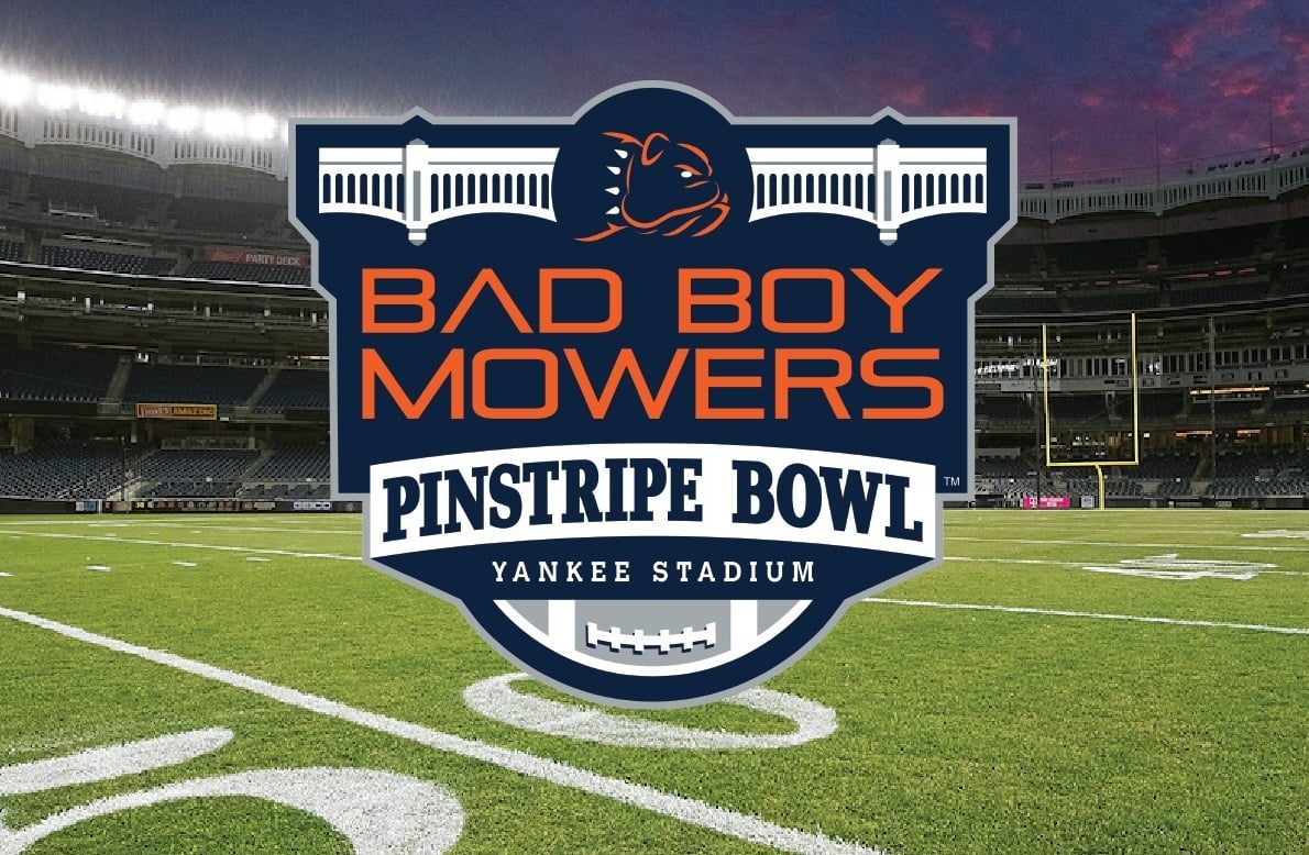 pinstripe bowl